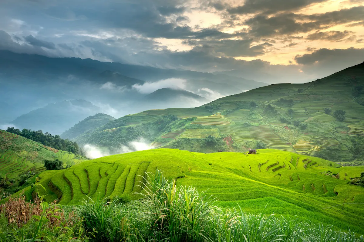 Araku Valley one day tour package scenic hill station with caves, waterfalls and lush green forests for sightseeing cab experience